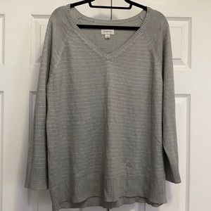 Gray/Silver sweater.